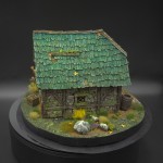 Michał Frajtak, Poland