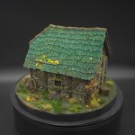 Michał Frajtak, Poland